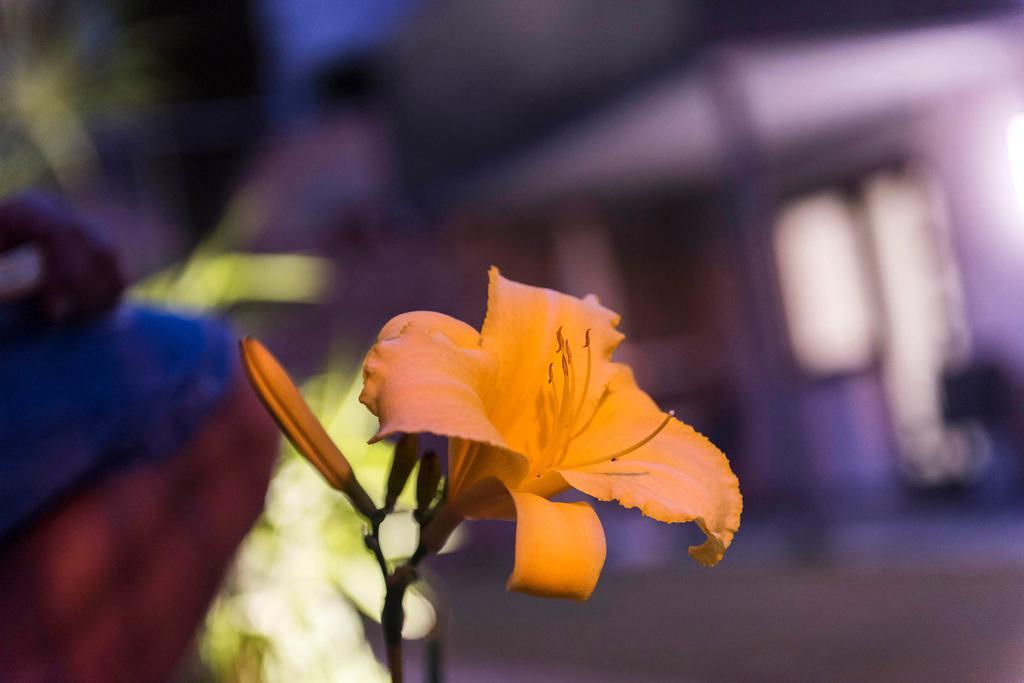 Apartment Zielspitz ปาร์ชีเนส ภายนอก รูปภาพ